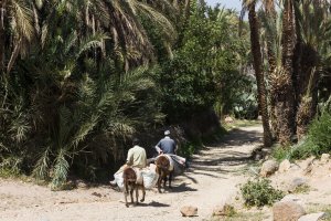 Nos Conseils Pour Organiser Un Voyage Au Maroc