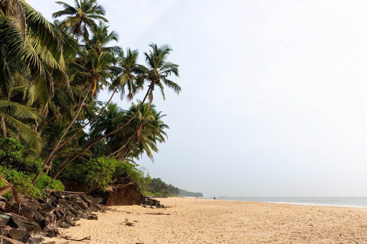 forum voyage kerala