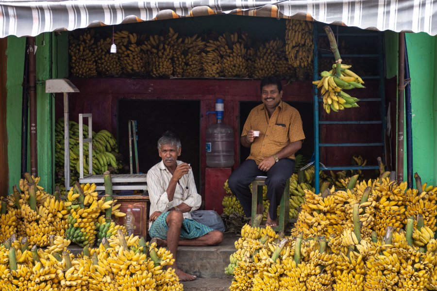 Vendeurs de bananes au marché de Mysore, Inde