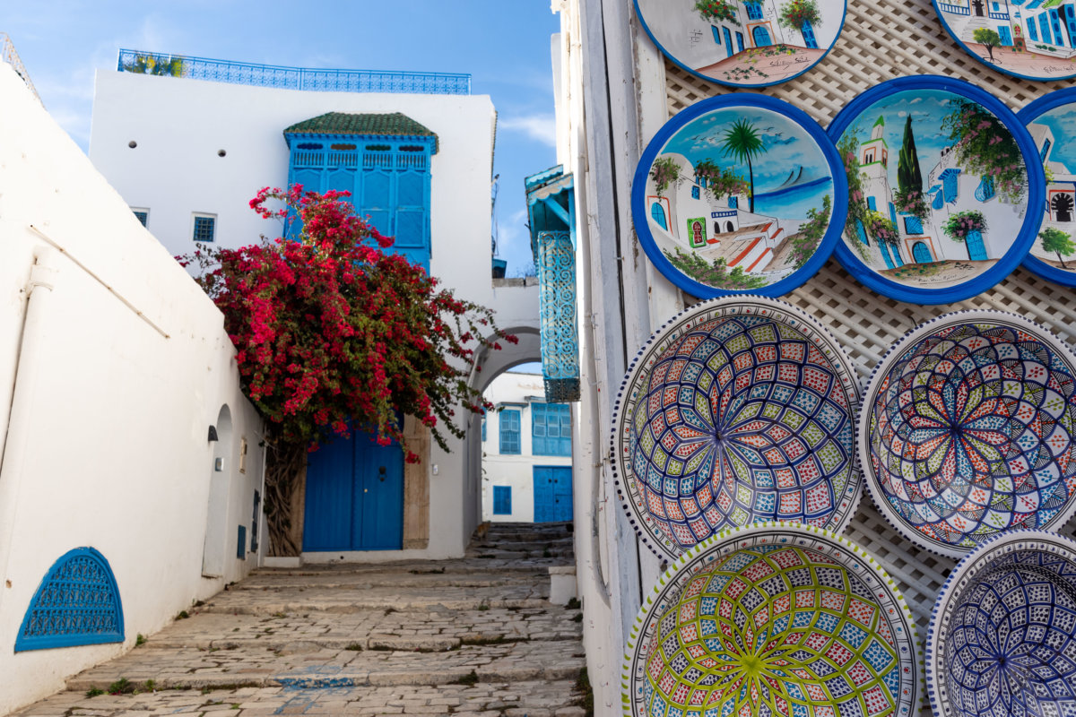 Visiter Tunis Sidi Bou Saïd Et Carthage Splendides 