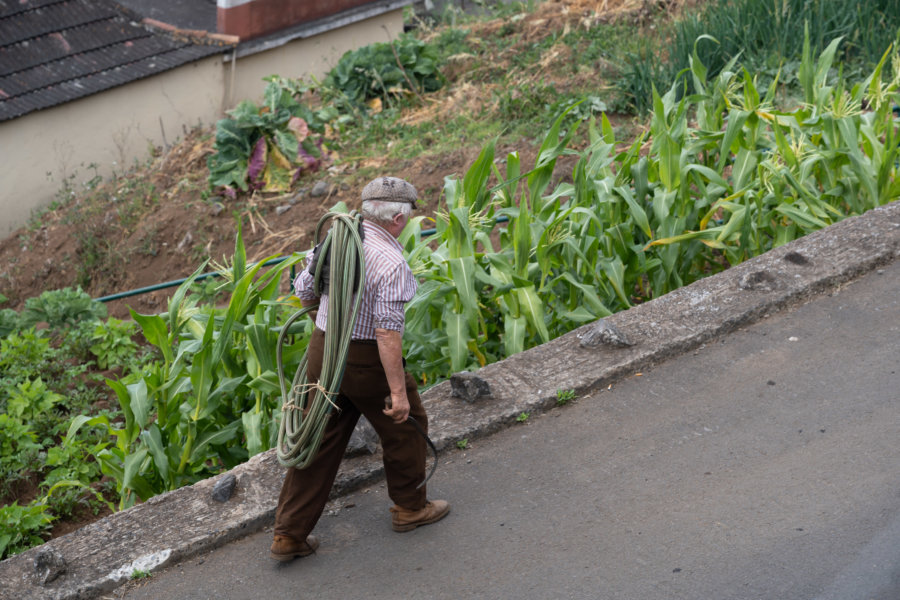 Jardinier et potager à la campagne à Madère