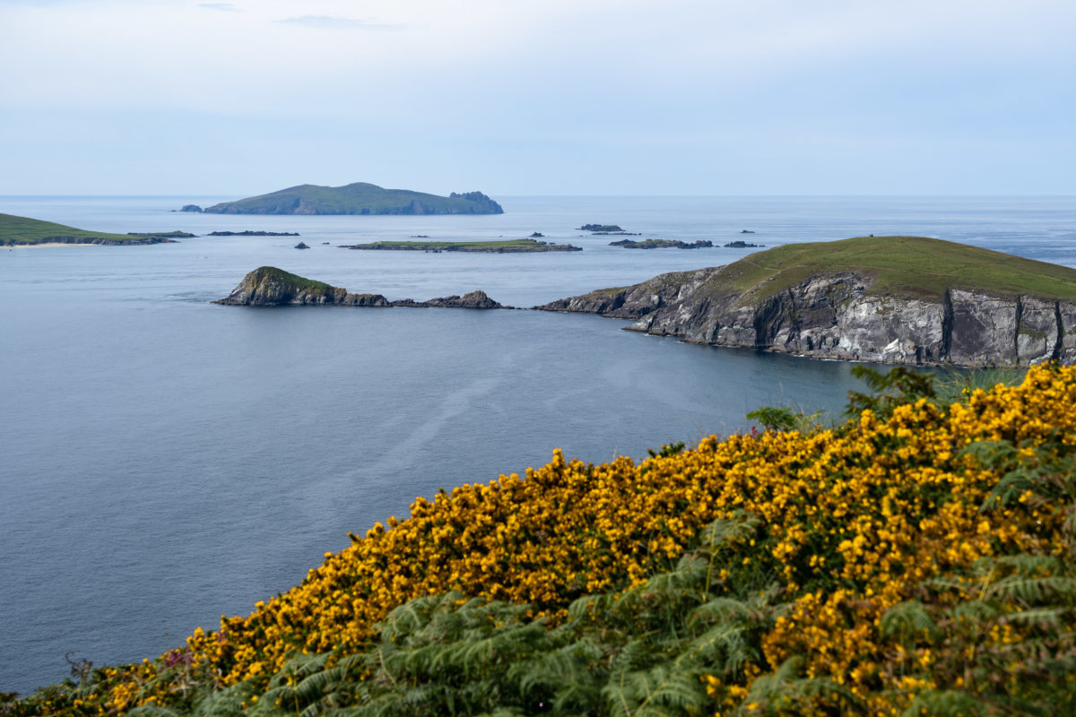 Voyage en Irlande, sur un air de cornemuse