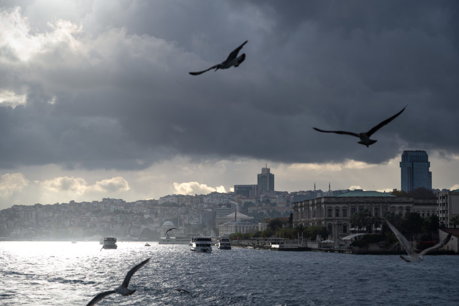 Croisière sur le Bosphore à Istanbul, avec les goélands