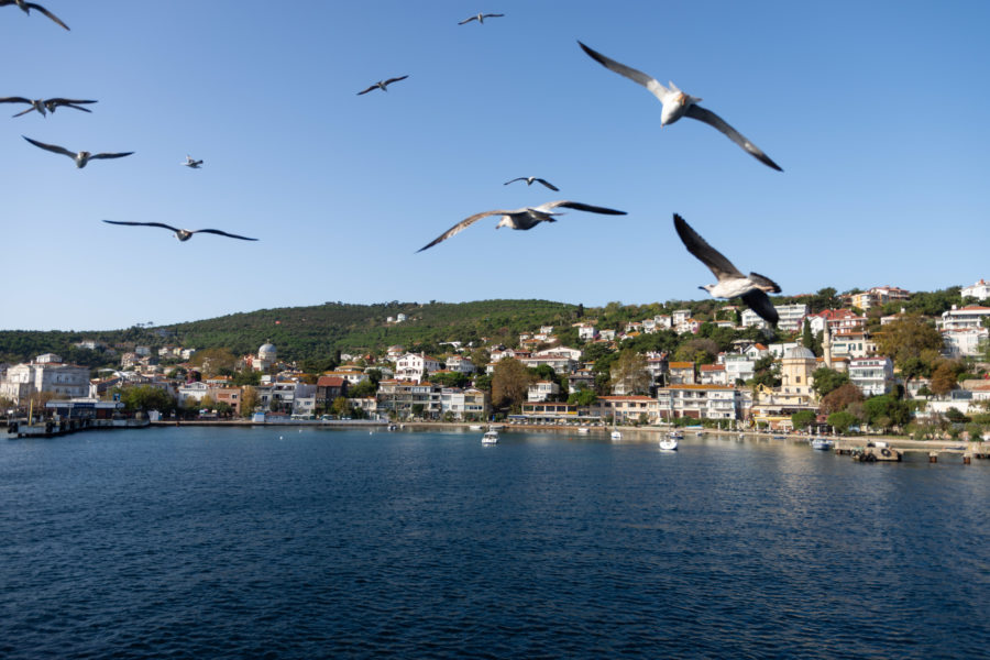 Île des Princes près d'Istanbul