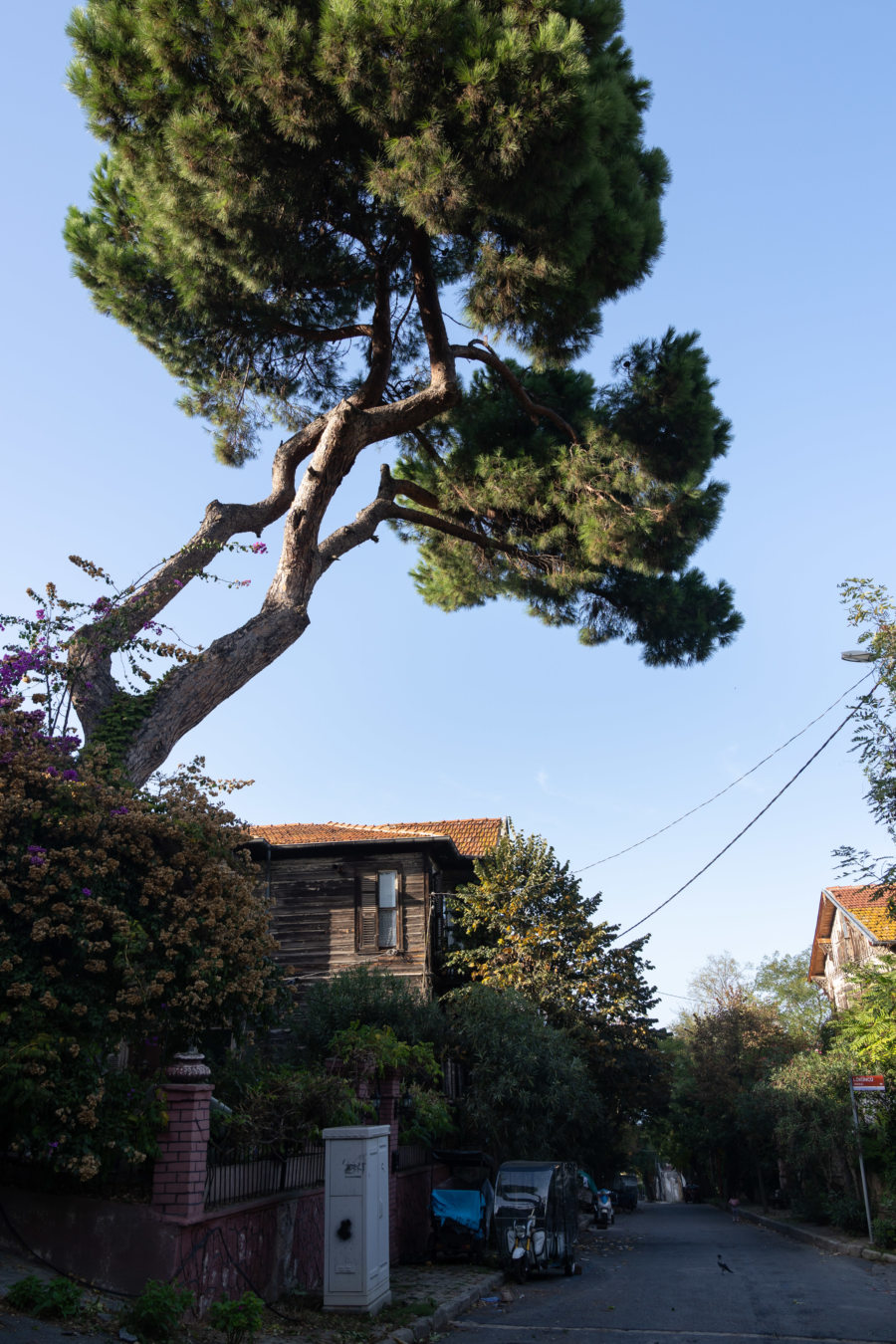 Randonnée sur l'île de Buyukada, Istanbul