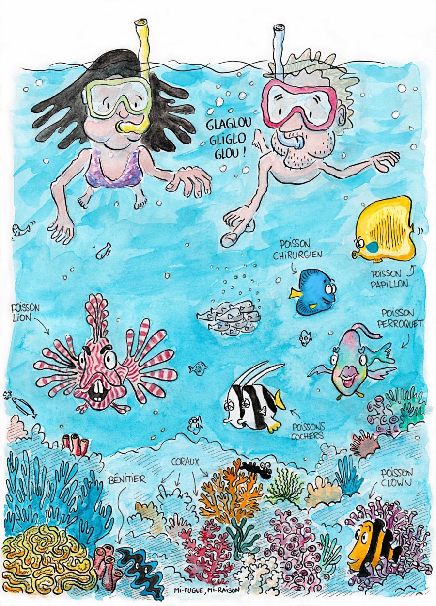 Dessin : snorkeling dans la Mer Rouge