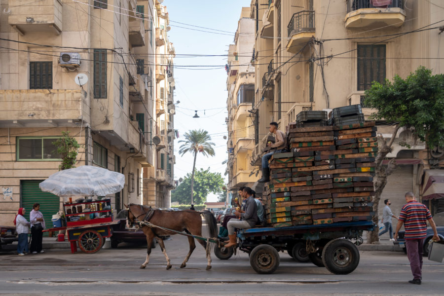 Calèche à Alexandrie, Egypte