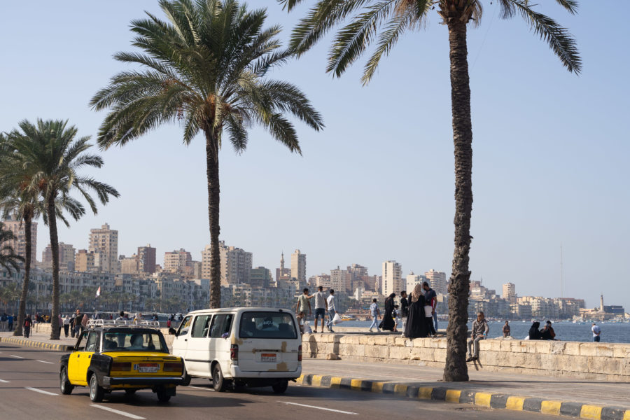 Corniche d'Alexandrie en Egypte, sous les palmiers