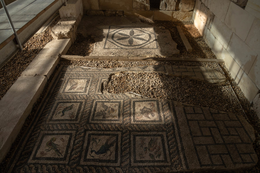 Mosaïque dans l'amphithéâtre romain d'Alexandrie