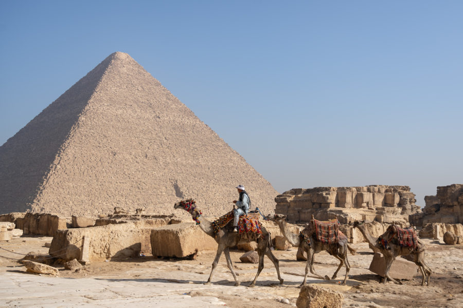 Pyramide de Kheops et chameaux à Gizeh, Egypte