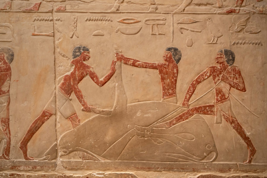 Bas-reliefs dans le Mastaba d'Ounas à Saqqarah