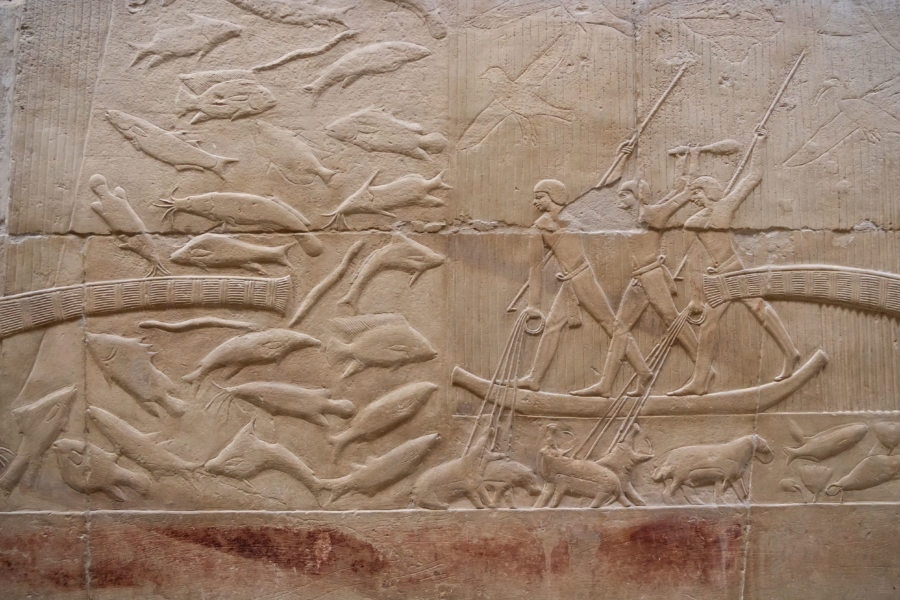 Bas-reliefs sur la pêche à Cagemni, Saqqarah