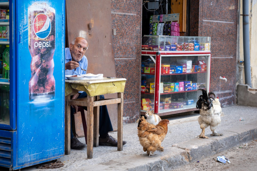 Scène de rue avec poules à Alexandrie, Egypte