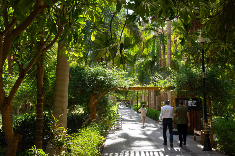 Visite du jardin botanique d'Assouan, île Kitchener