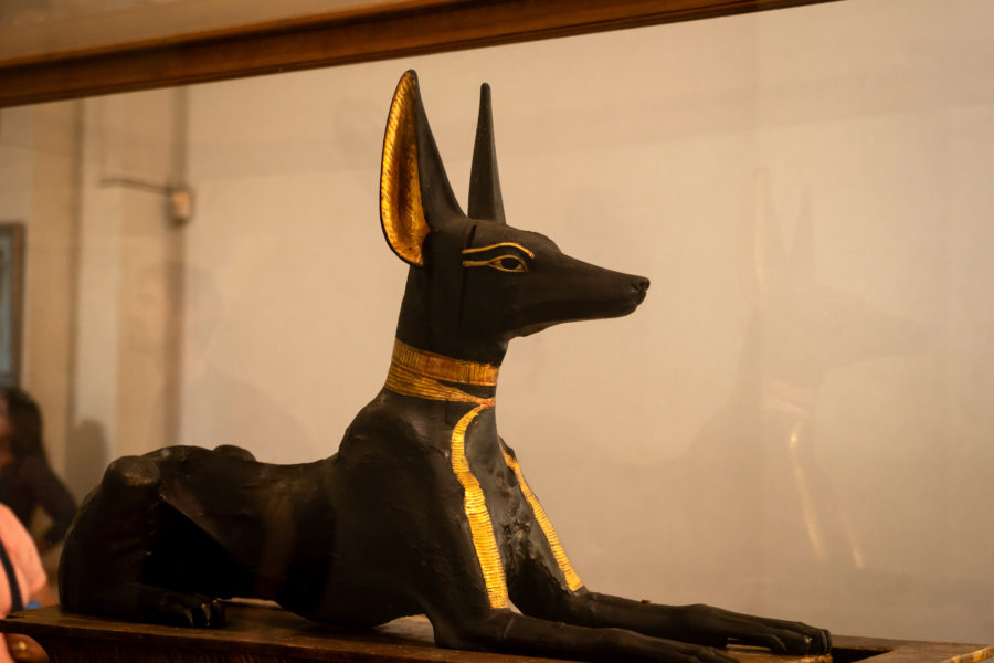 Visite du musée égyptien du Caire : statue de chien