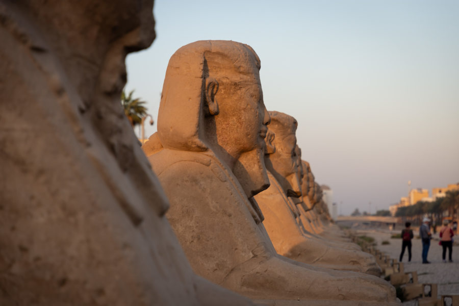 Allée de sphinx au temple de Louxor en Egypte