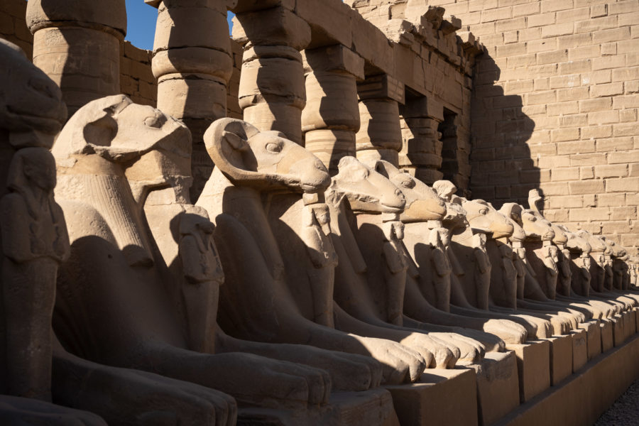 Allée de statues béliers d'Amon au temple de Karnak, Louxor