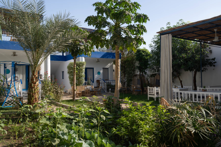 Jardin d'hôtel à Louxor, voyage en Egypte