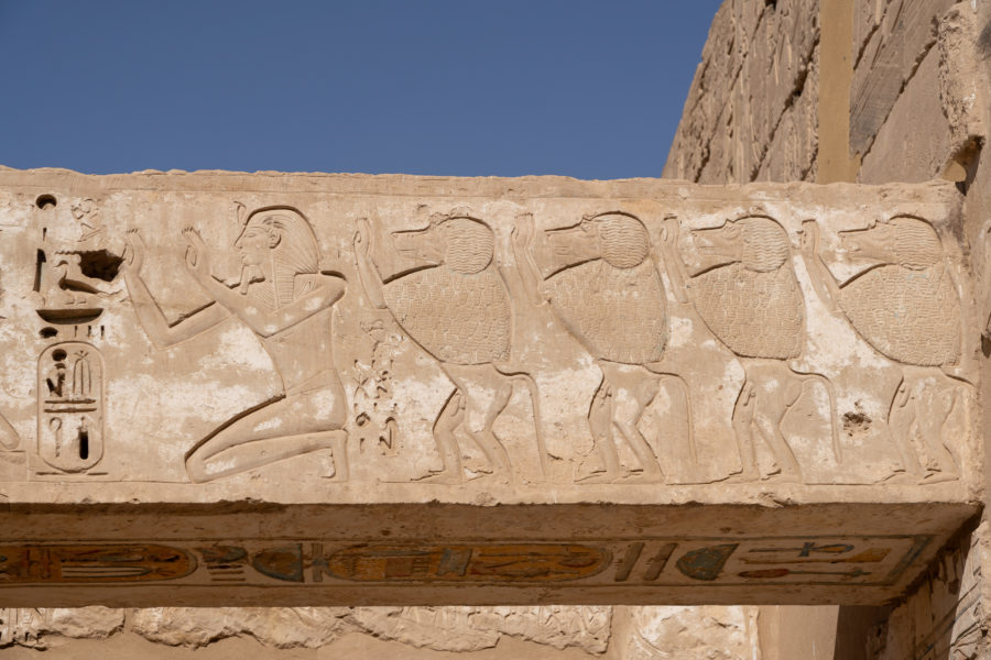 Sculptures de bélier Amon à Medinet Habou