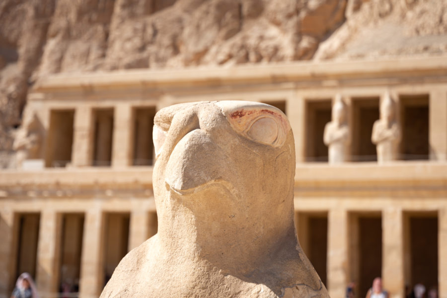 Statue d'oiseau au temple d'Hatchepsout à Louxor