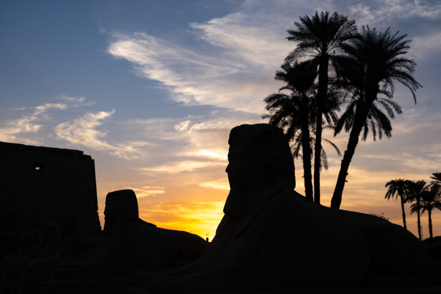 Coucher de soleil sur l'allée des sphinx au temple de Louxor