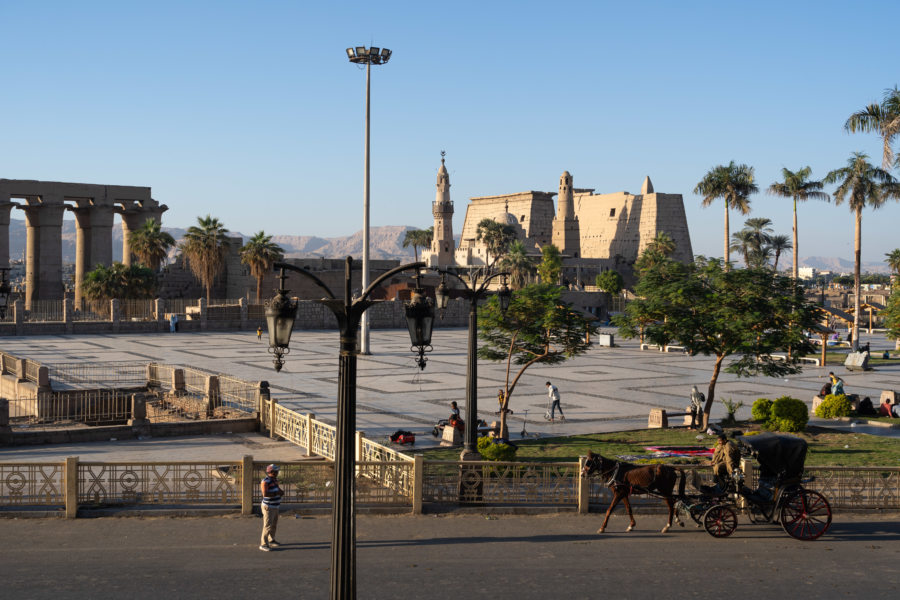 Vue sur le temple de Louxor depuis un café