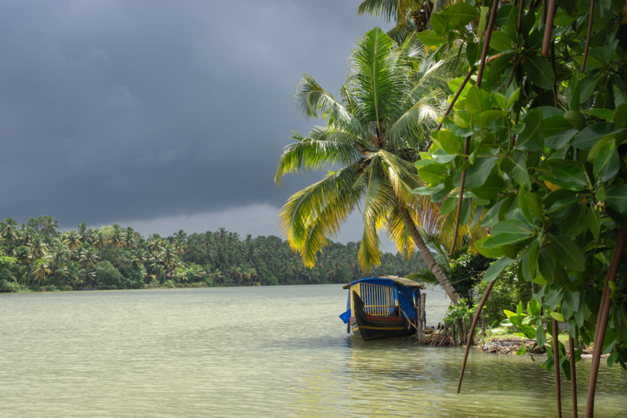 Munroe Island sous l'orage : rivière et cocotier