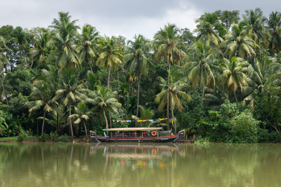 Pirogue, cocotiers et backwaters à Munroe Island