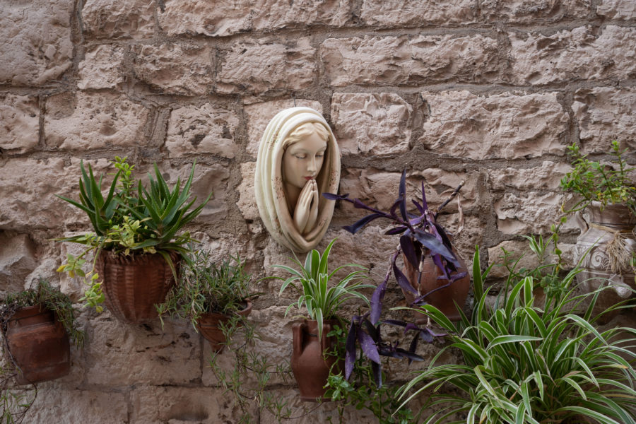 Déco des murs de Bari : plantes et religion