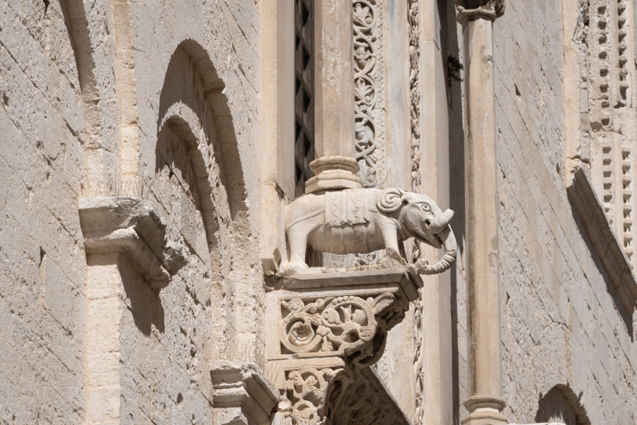 Gargouille éléphant sur la cathédrale San Sabino à Bari