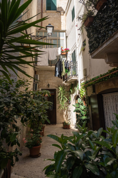 Plantes dans une ruelle de Bari