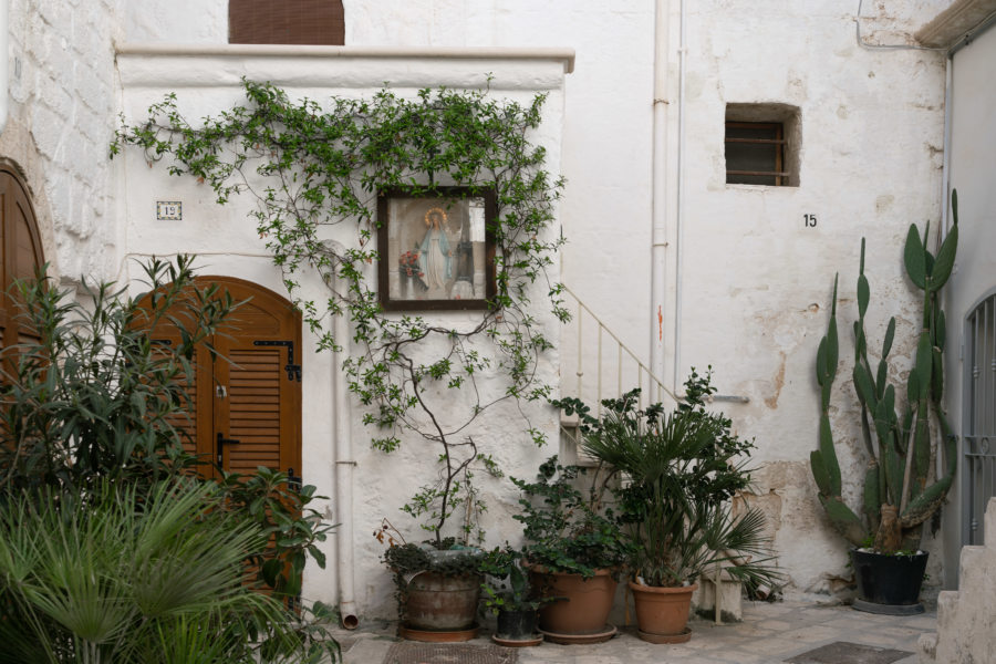 Village de Polignano a Mare : plantes dans la rue