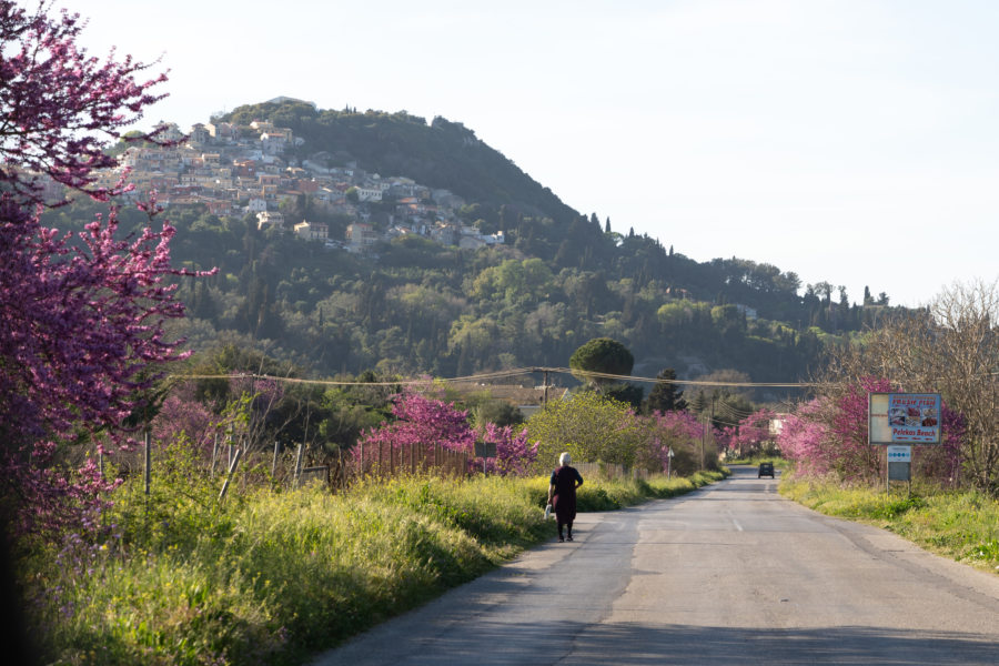 Village perché de Pelekas à Corfou