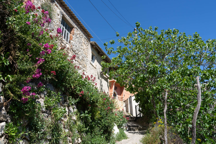 Randonnée jusqu'au village de Lakones à Corfou