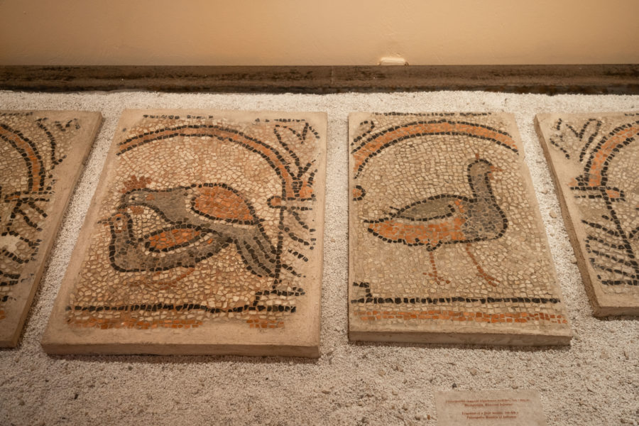 Mosaïques dans le musée du fort de Corfou