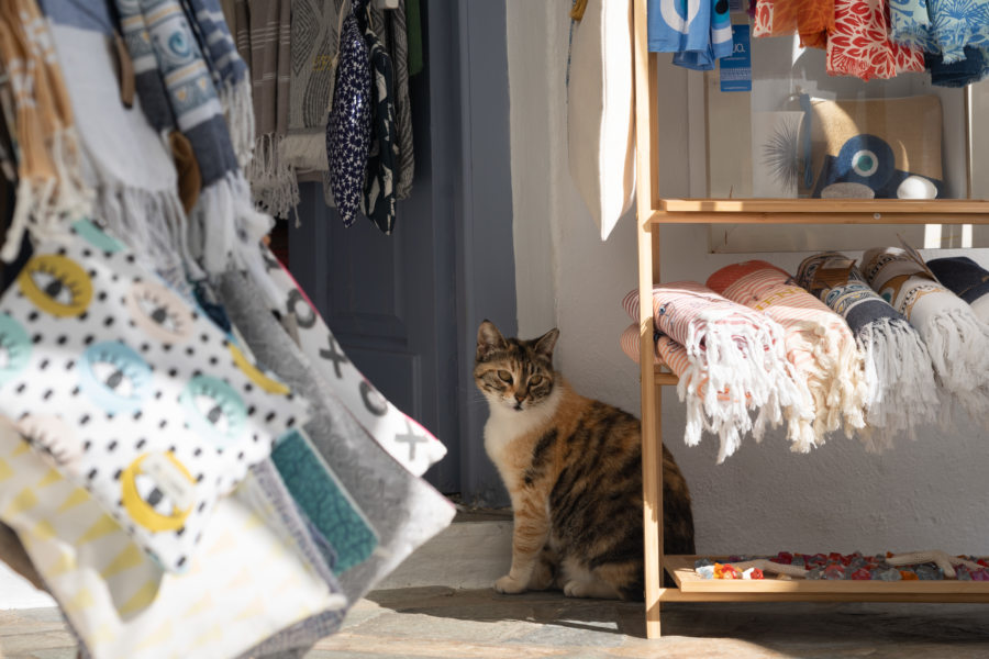 Boutique et chat à Kastro, île de Sifnos dans les Cyclades