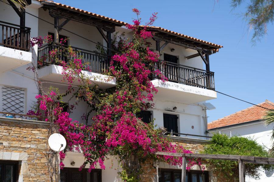 Maison et bougainvilliers à Platanias, Pélion