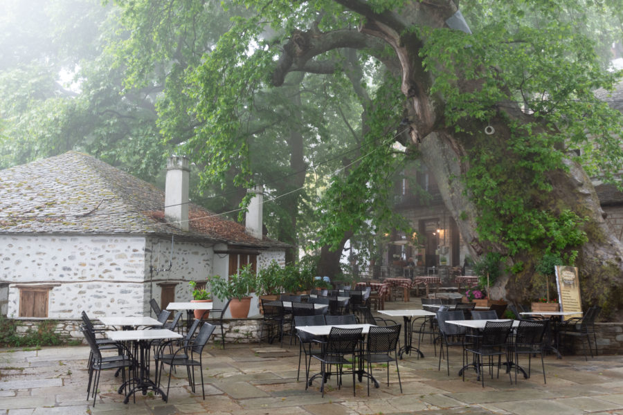 Village de Makrinitsa et vieux platane dans la brume