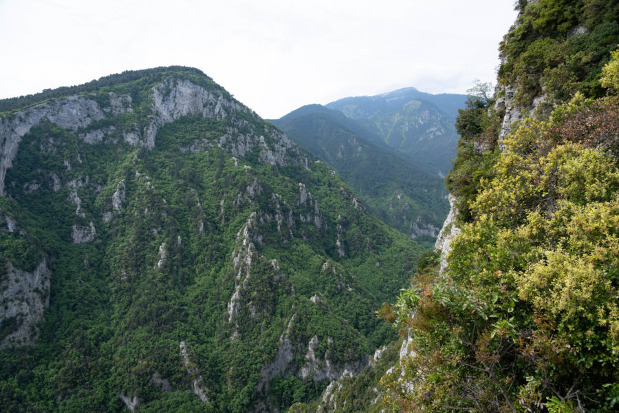 Vue sur les gorges d'Enipeas depuis Zilnia