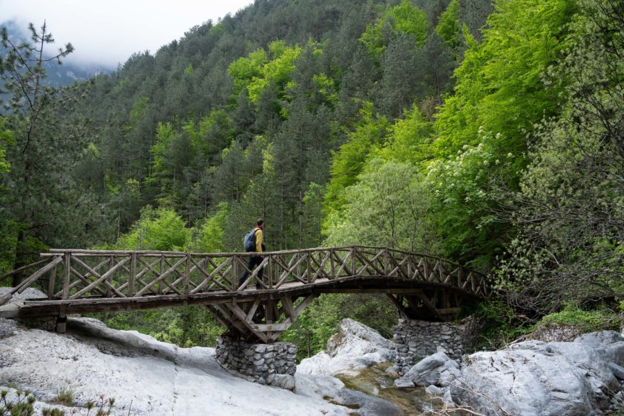 Randonnée dans les gorges d'Enipeas, Mont Olympe