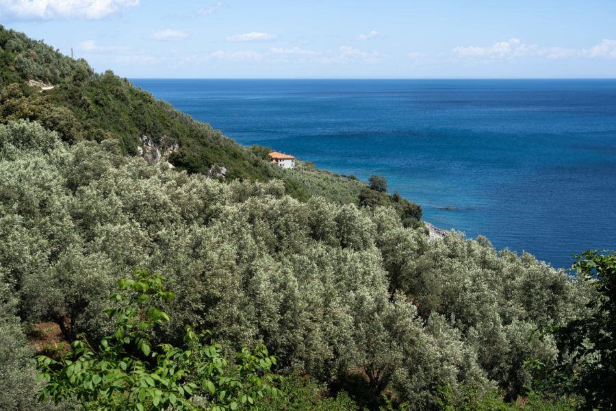 Randonnée entre Milopotamos et Limnionas entre collines et mer