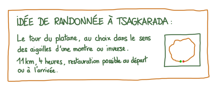 Humour : randonnée autour du plus gros platane de Grèce