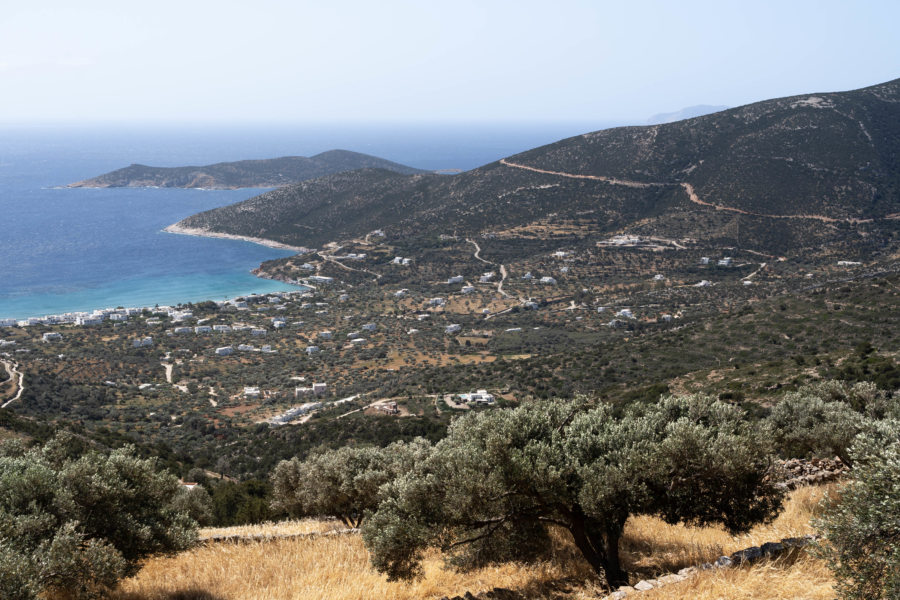 Randonnée sur Sifnos avec oliviers et vue sur la mer