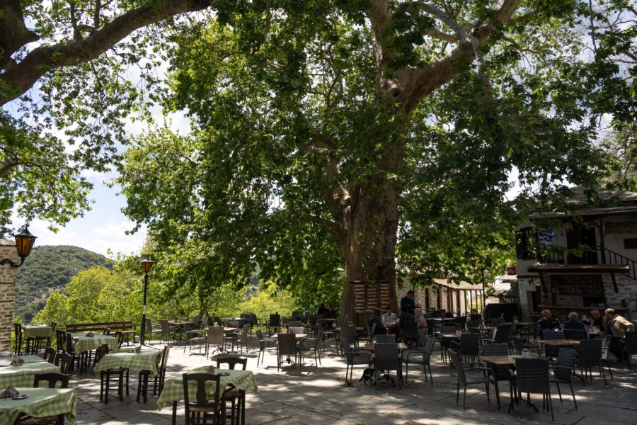 Village de Vizitsa, place à l'arbre centenaire