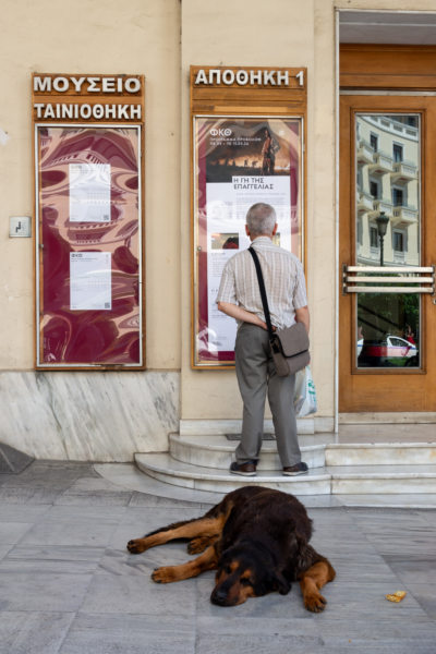 Chien qui dort devant un cinéma