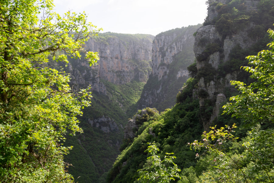 Randonnée dans les Gorges de Vikos, montagnes des Zagori