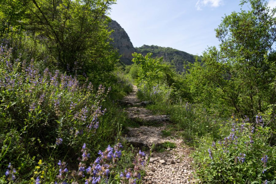 Montée vers le village de Vikos depuis la vallée