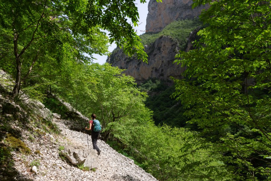 Randonnée dans les Gorges de Vikos en Grèce, Zagoria