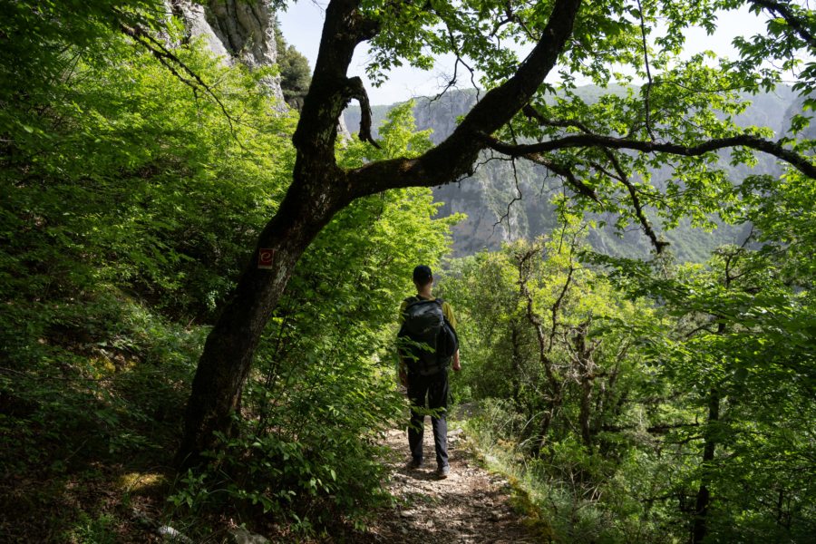 Randonnée entre Monodendri et les gorges de Vikos en Grèce