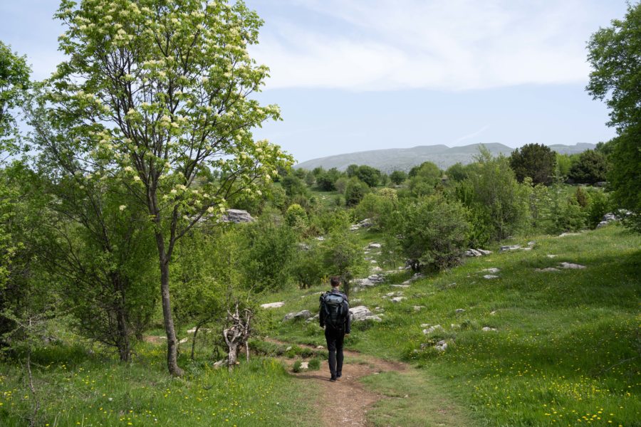 Randonnée de Vradeto au point de vue de Beloi, Zagori